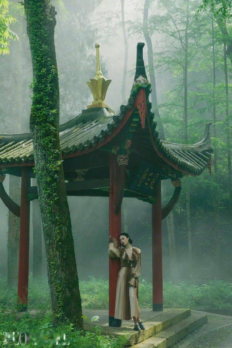 走进谁知道武则天和牡丹花的故事?社区,分享你的见解和热点话题!