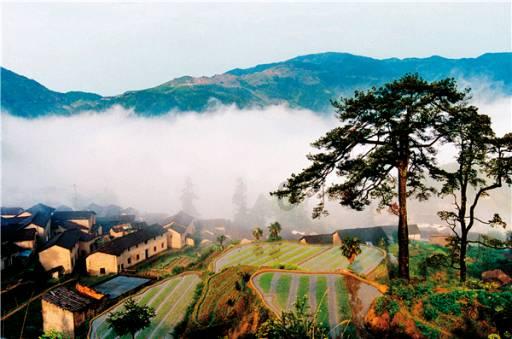 “夏日常吃姜，不劳医生开药方”，姜该怎么吃？新手该怎么制作？游戏画面